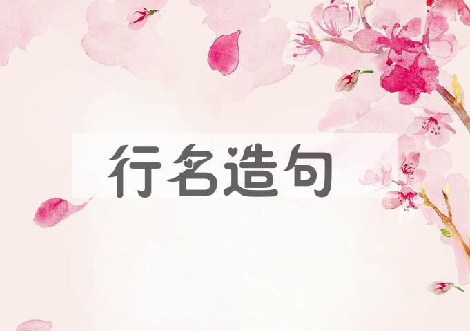 用行名造句