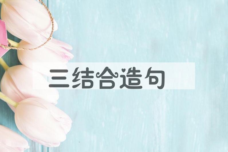 用三结合造句