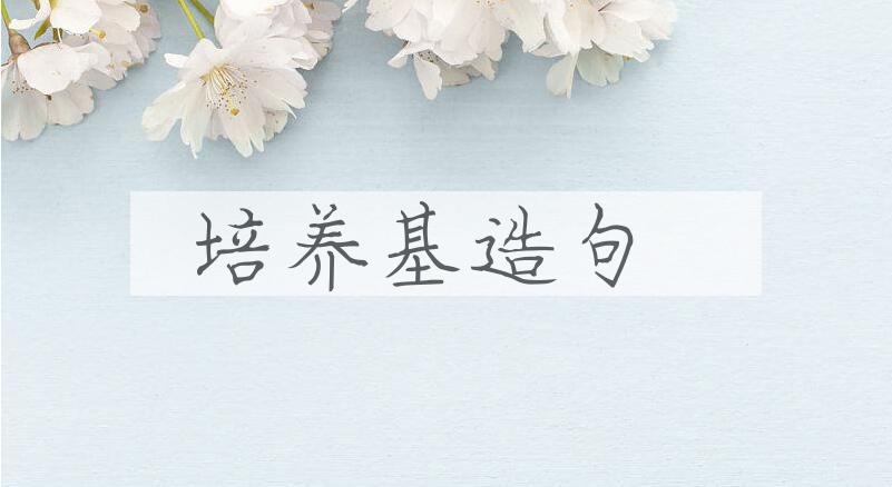 用培养基造句