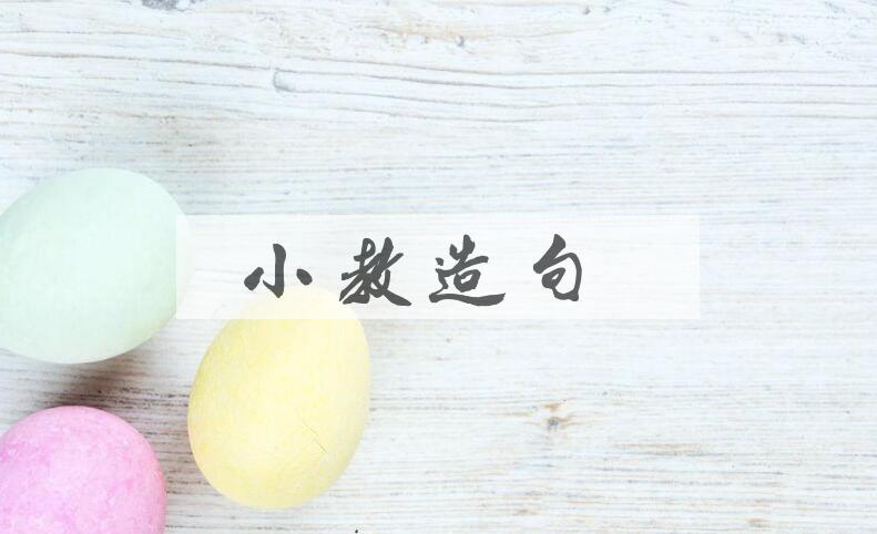 用小教造句