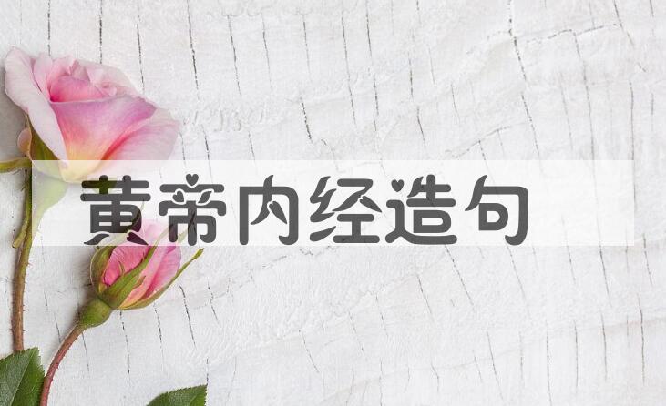 用黄帝内经造句