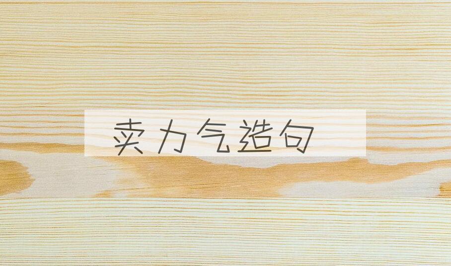 用卖力气造句