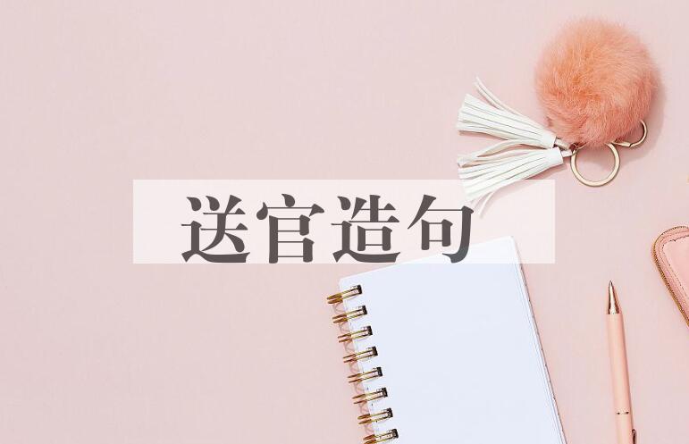 用送官造句