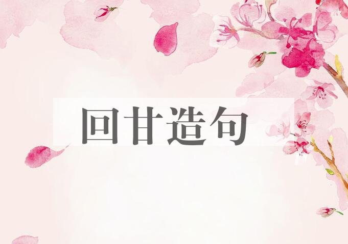 用回甘造句