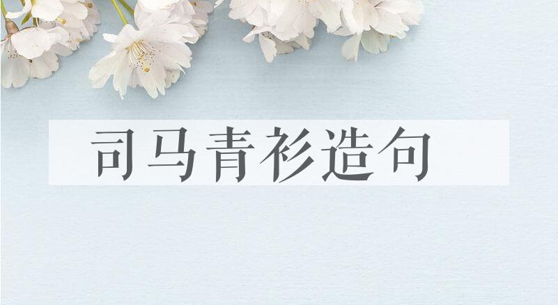 用司马青衫造句
