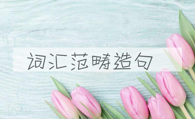 用词汇范畴造句
