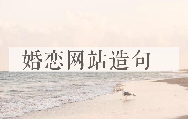 用婚恋网站造句