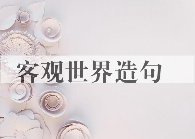 用客观世界造句