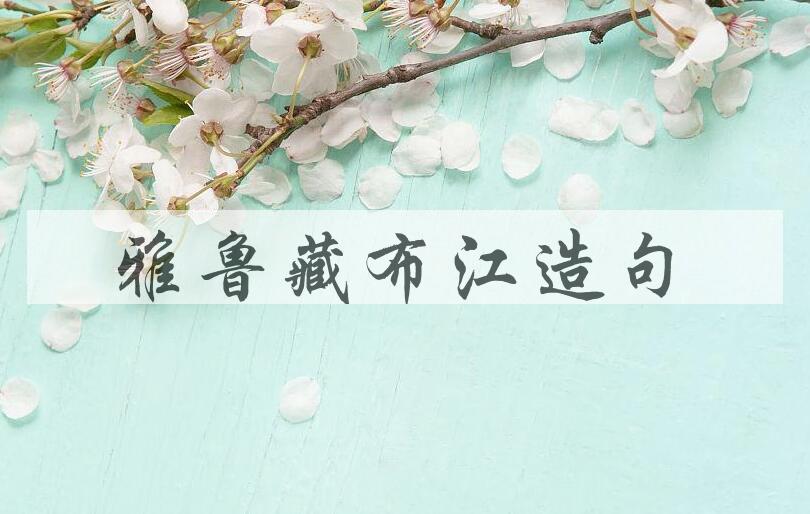 用雅鲁藏布江造句
