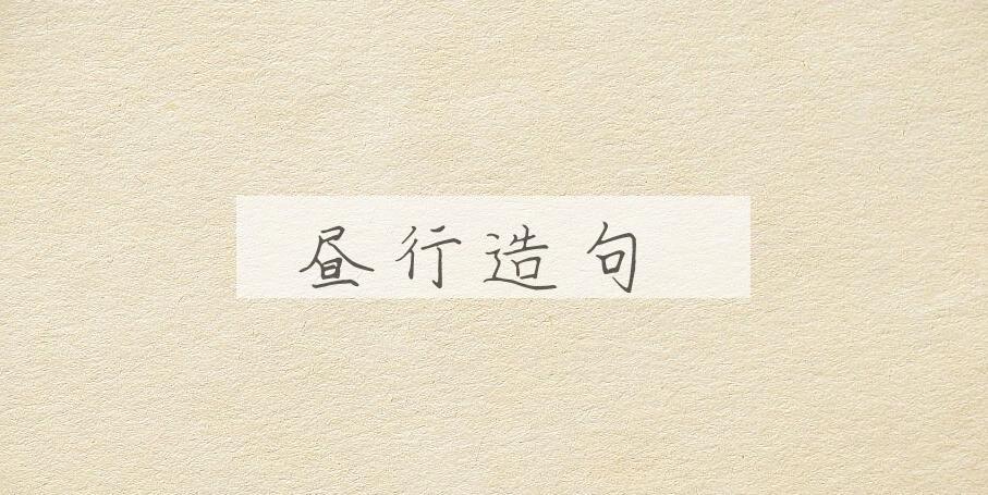 用昼行造句