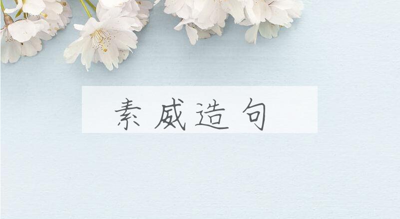 用素威造句