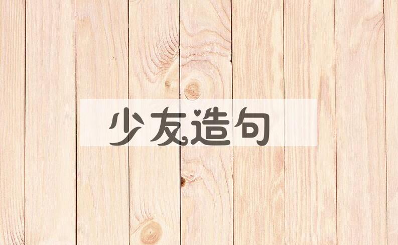 用少友造句