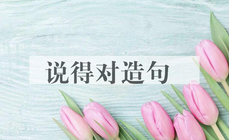 用说得对造句