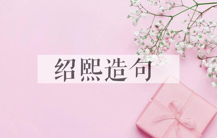 用绍熙造句