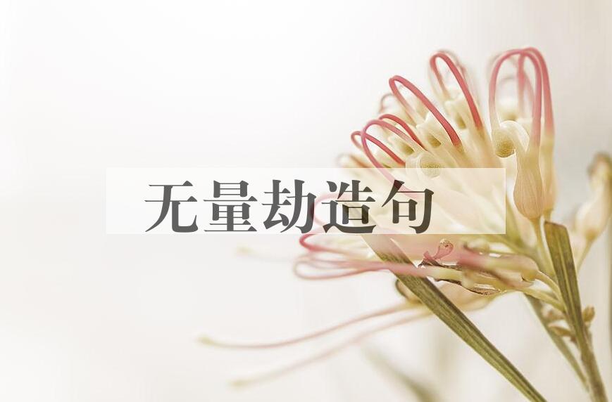 用无量劫造句