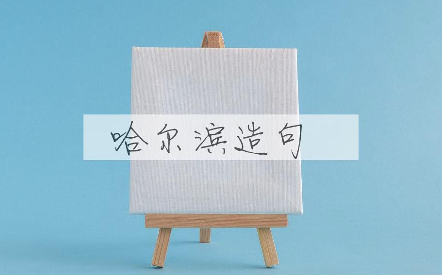 用哈尔滨造句