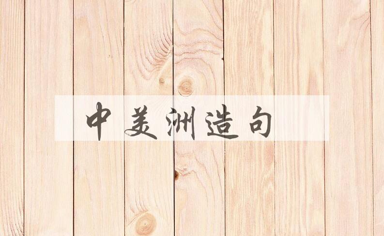 用中美洲造句