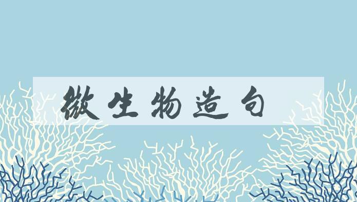 用微生物造句