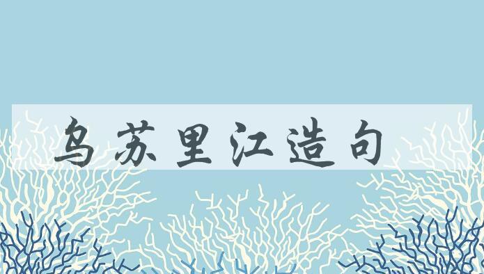 用乌苏里江造句