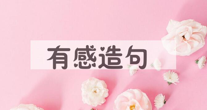 用有感造句