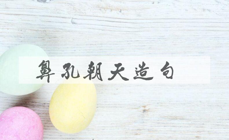 用鼻孔朝天造句