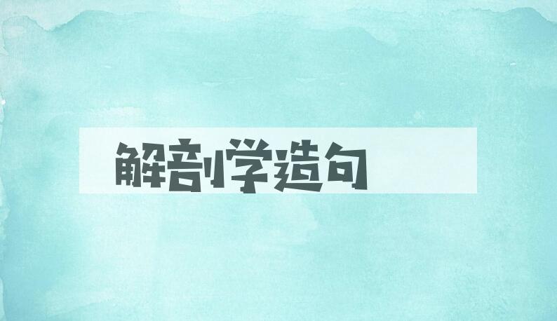 用解剖学造句
