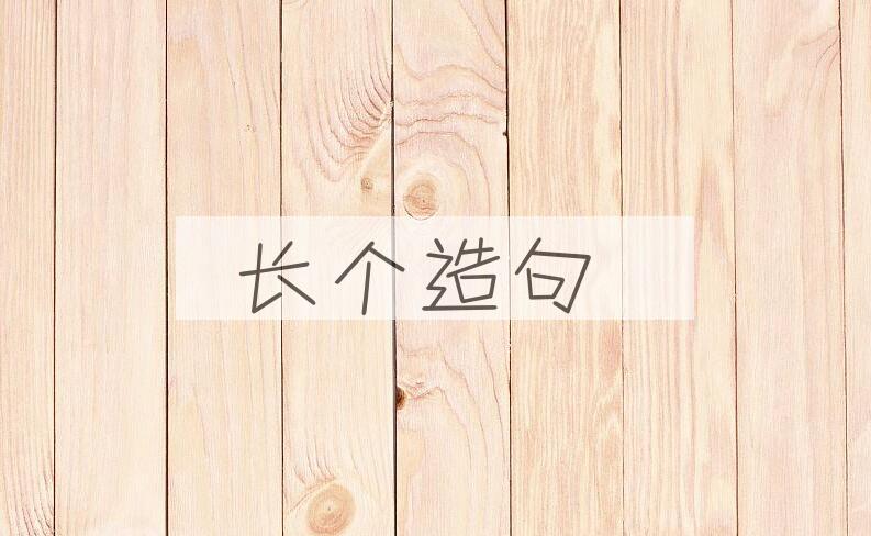 用长个造句