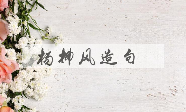 用杨柳风造句