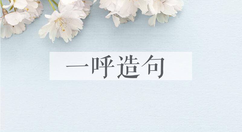 用一呼造句