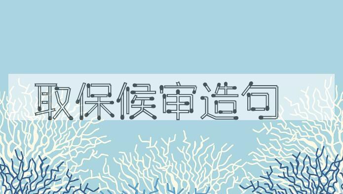 用取保候审造句