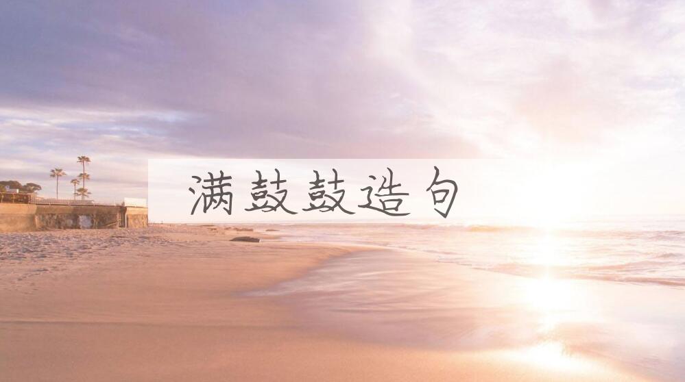 用满鼓鼓造句