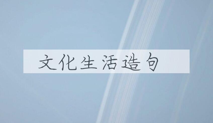 用文化生活造句