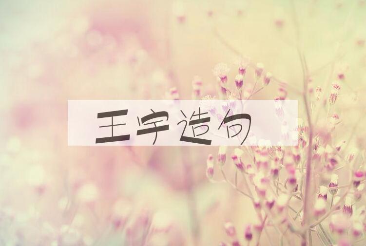 用王宇造句