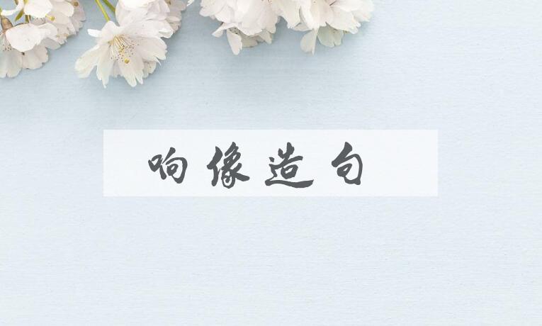 用响像造句