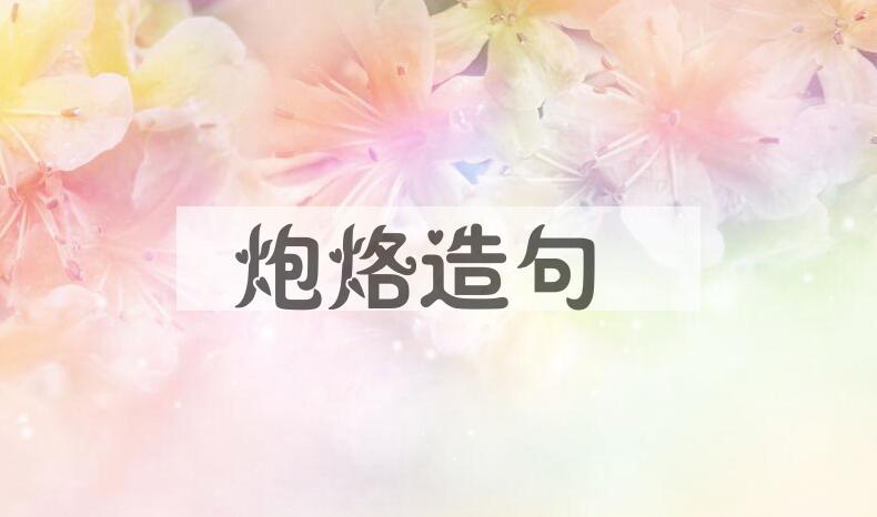 用炮烙造句