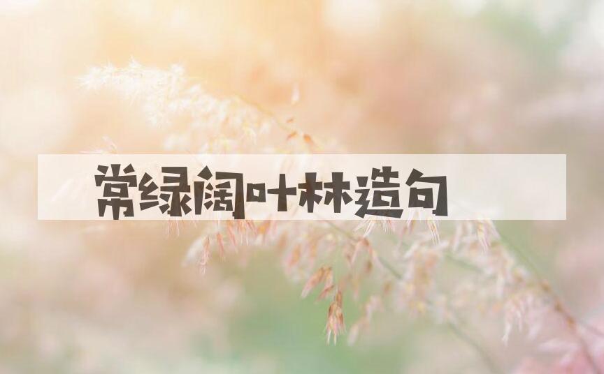 用常绿阔叶林造句