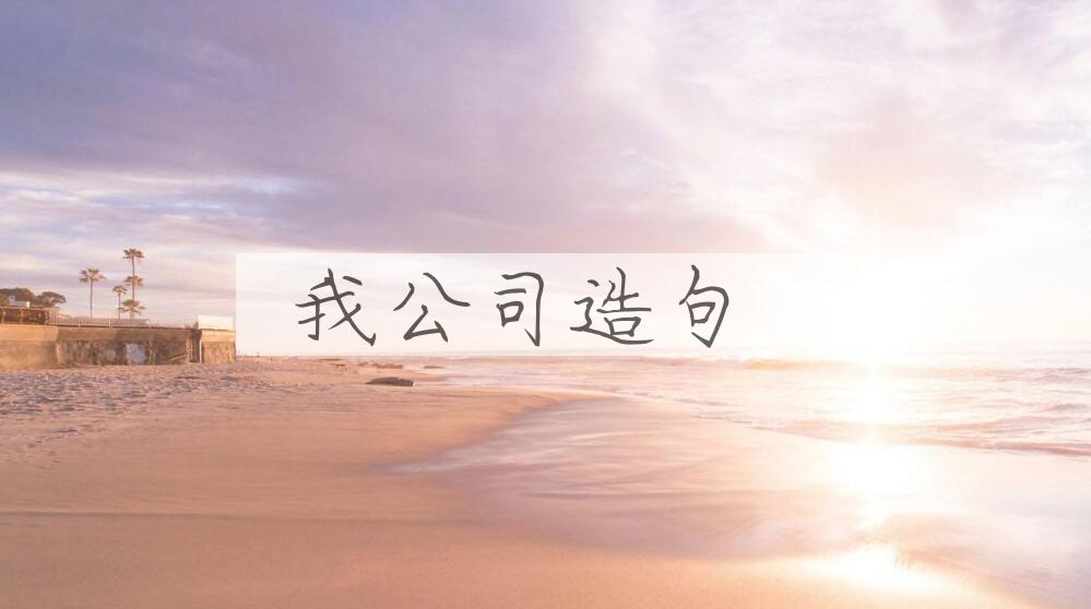 用我公司造句