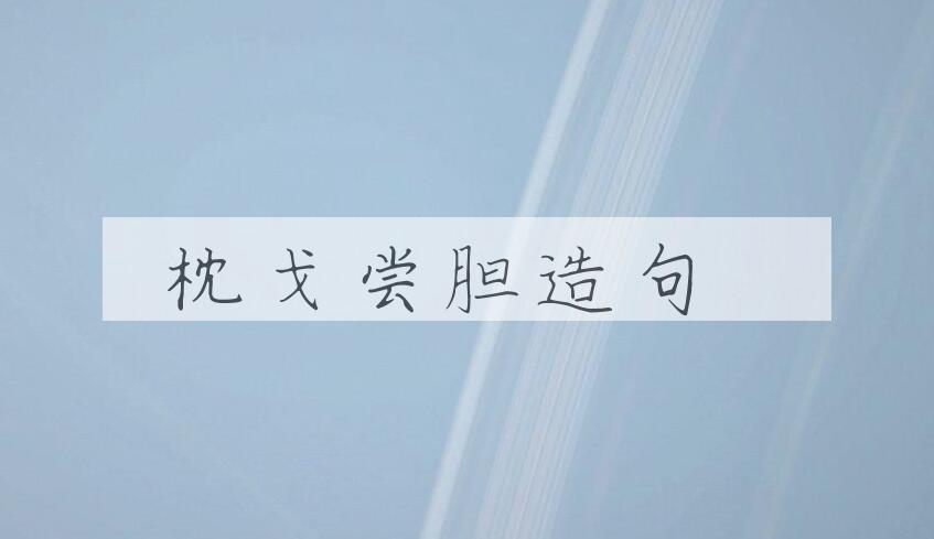 用枕戈尝胆造句