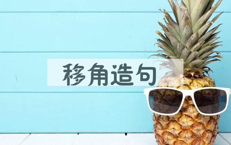 用移角造句