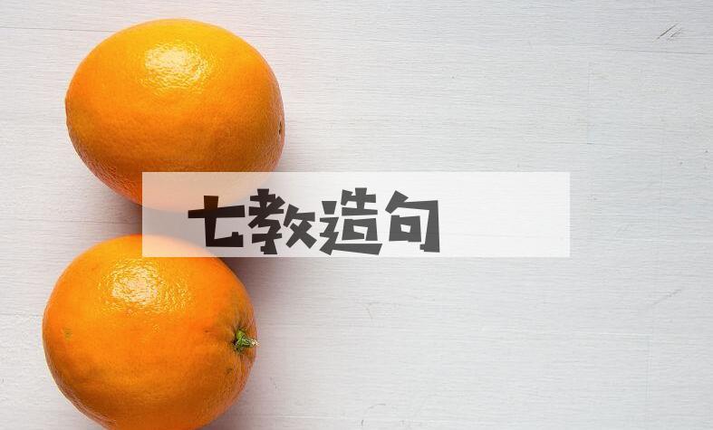 用七教造句