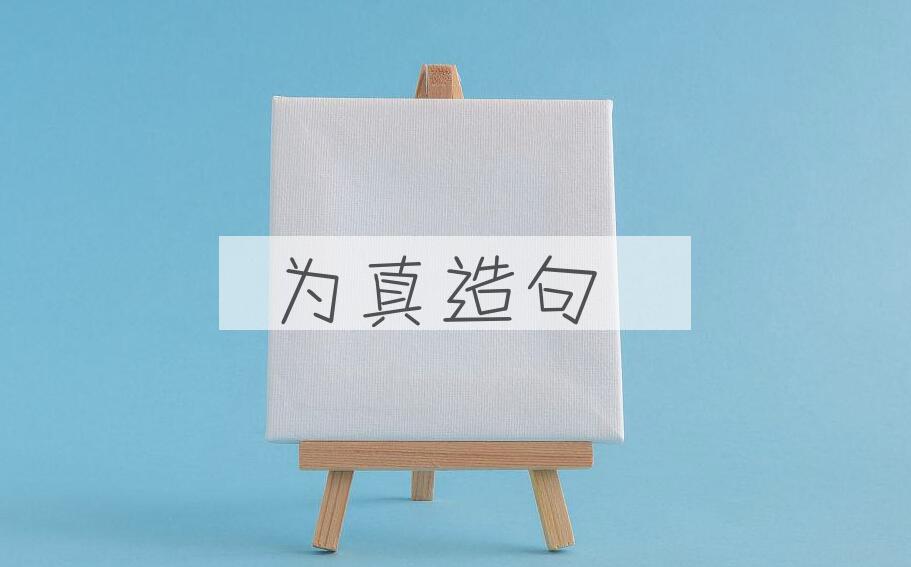 用为真造句
