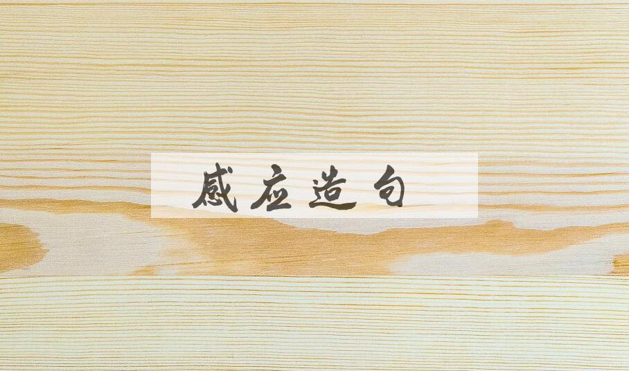 用感应造句