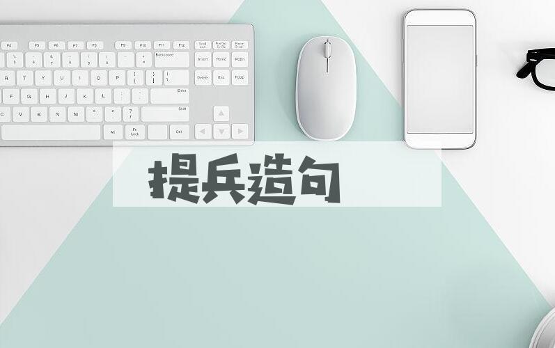 用提兵造句