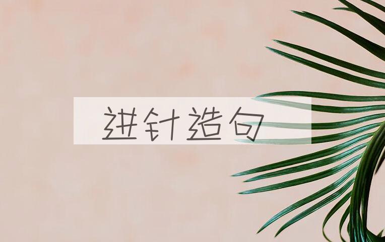 用进针造句