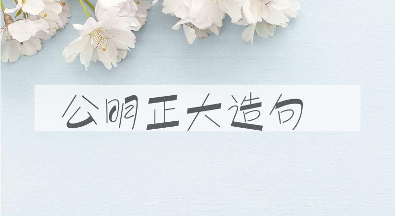 用公明正大造句