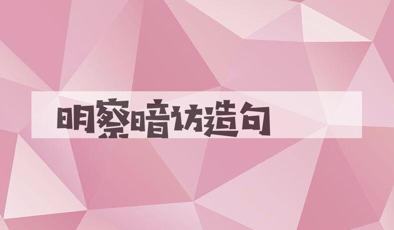 用明察暗访造句