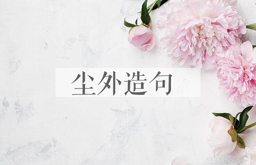 用尘外造句