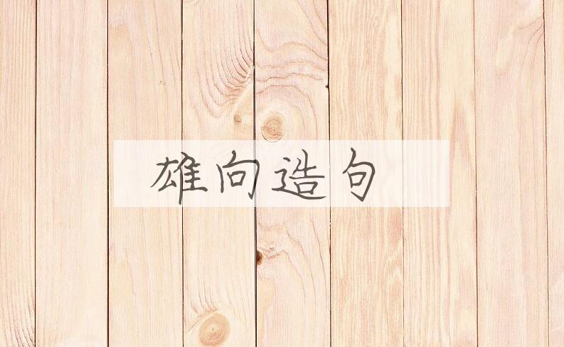 用雄向造句