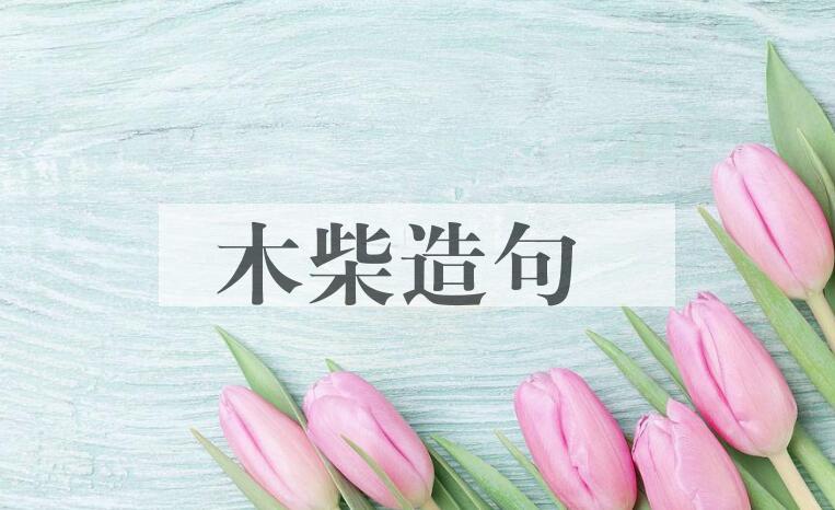 用木柴造句