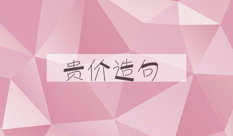 用贵价造句